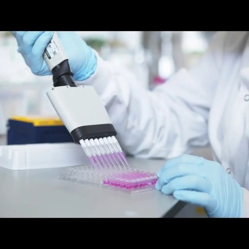 [E0127b] Bovine FSTL3 / Follistatin related protein 3 ELISA Kit